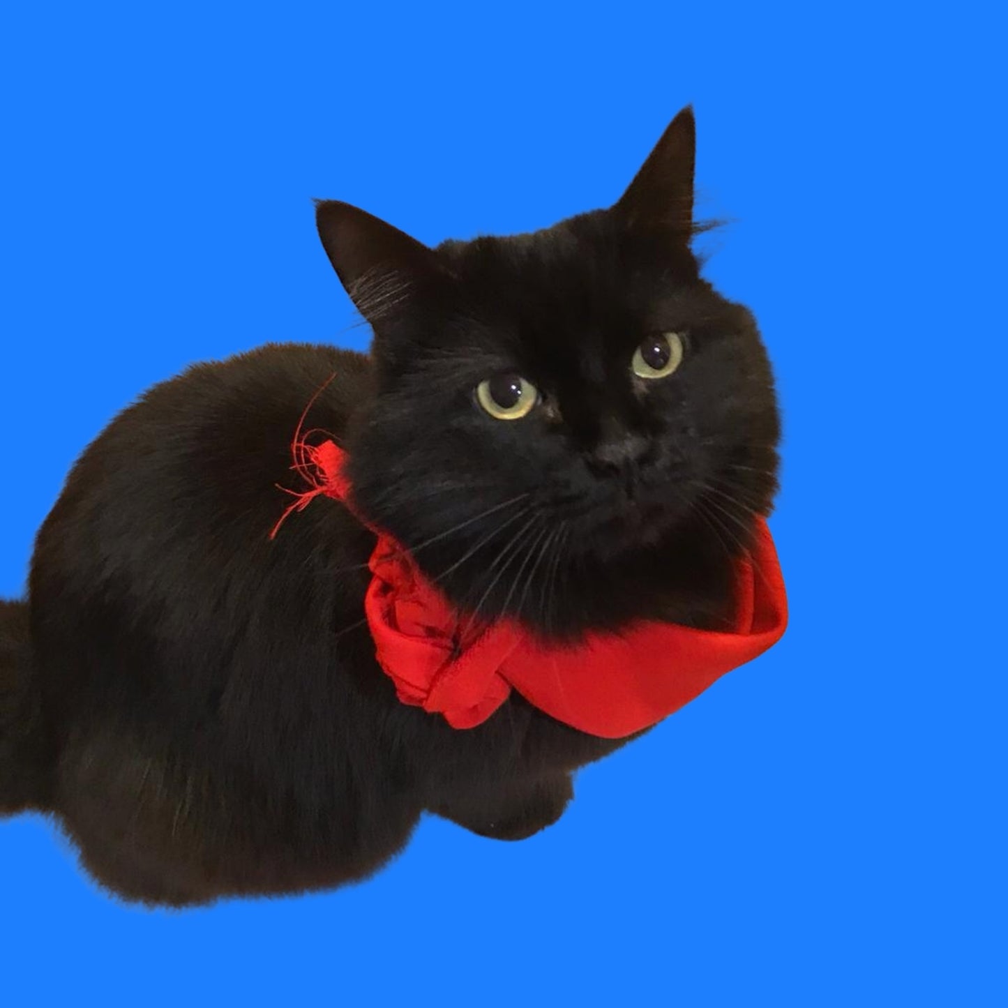 Paspas | Kara Kedi Figürlü Eğlenceli Cam Kolye